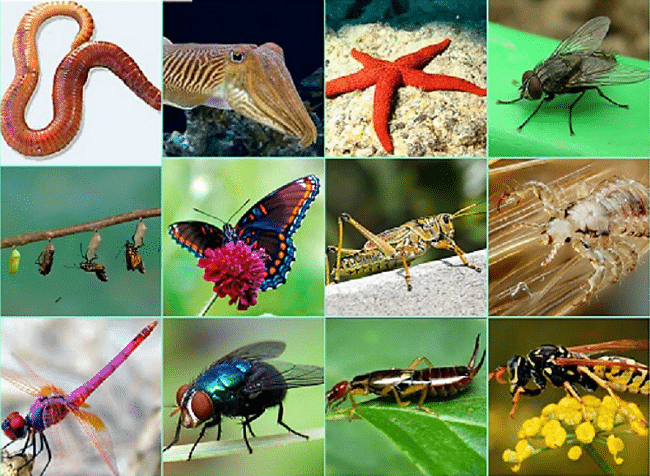 Biología, Geología y Ciencias Ambientales