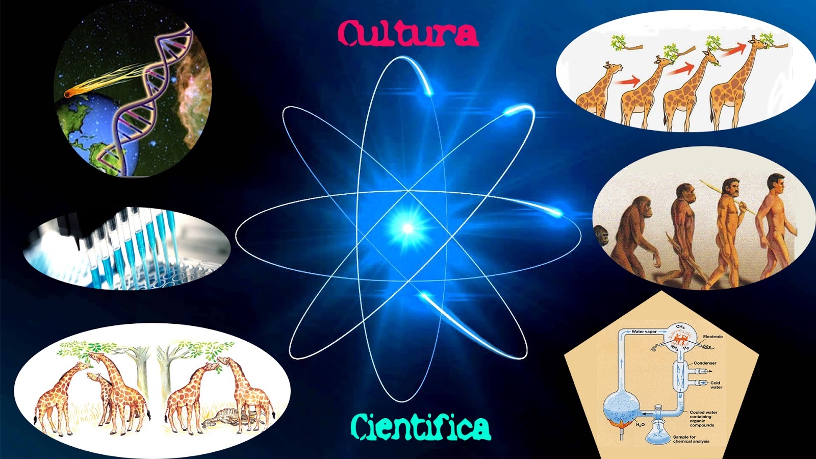 Cultura Científica